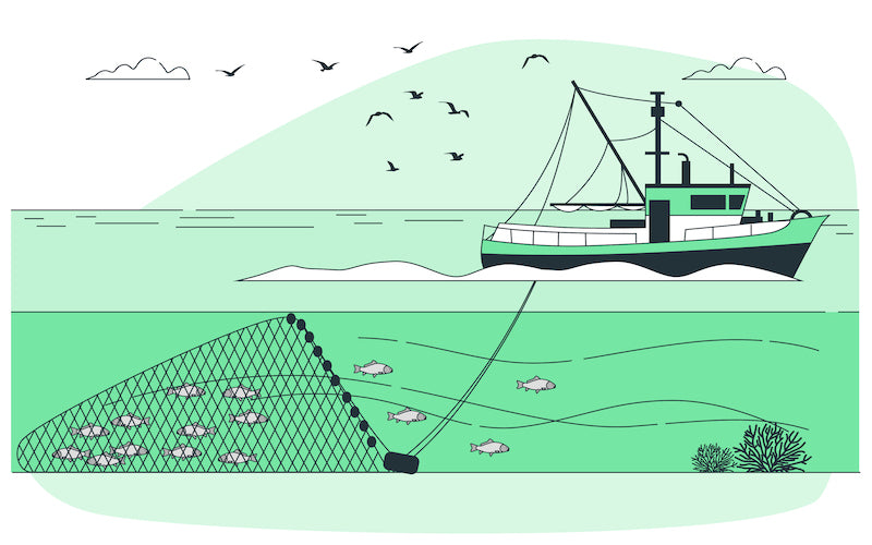 What are sustainable fisheries and why we need them?