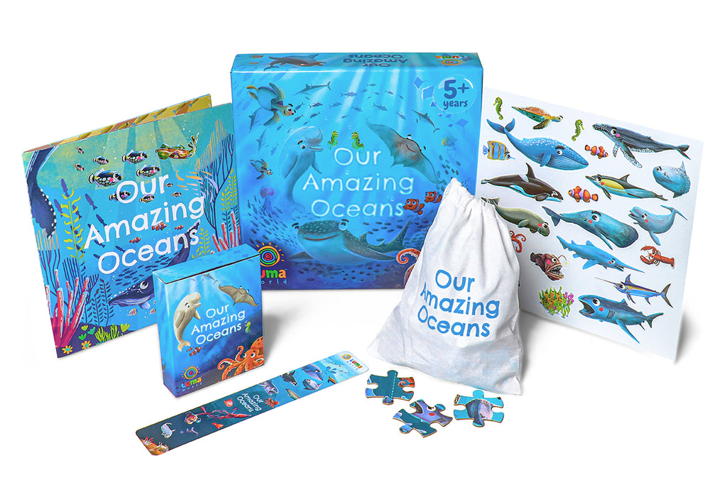 Our Amazing Oceans: A 4-in-1 Activity Kit